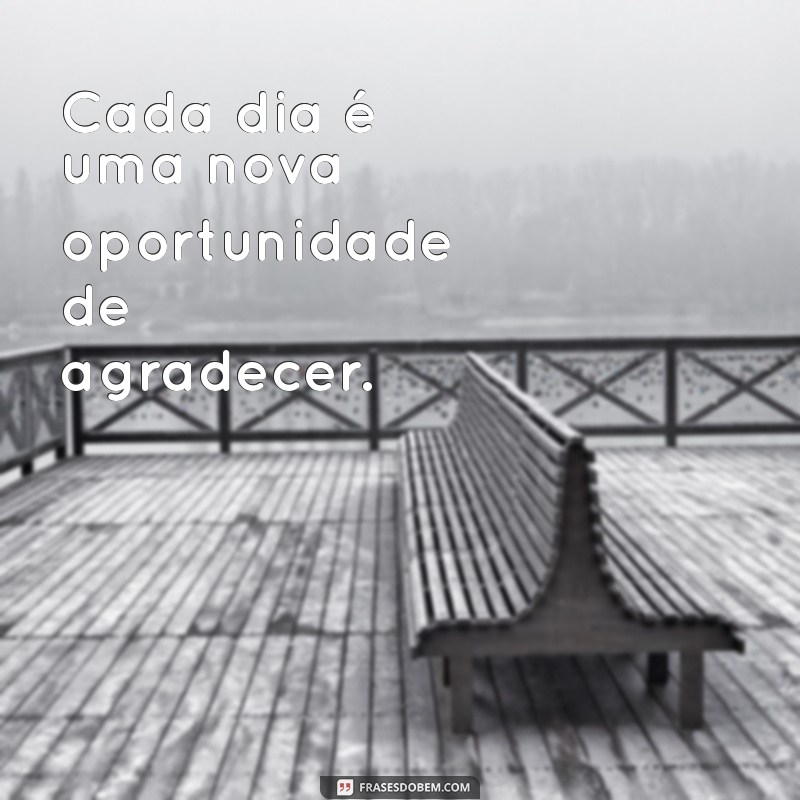 Como Reclamar Menos e Agradecer Mais: Transforme Sua Mentalidade para uma Vida Mais Positiva 