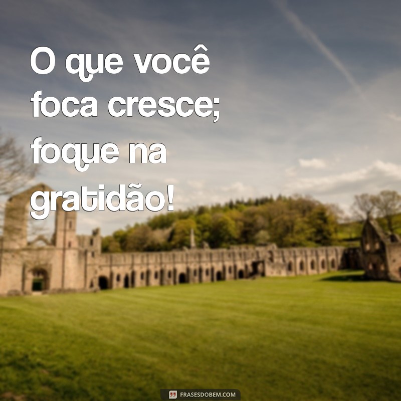 Como Reclamar Menos e Agradecer Mais: Transforme Sua Mentalidade para uma Vida Mais Positiva 