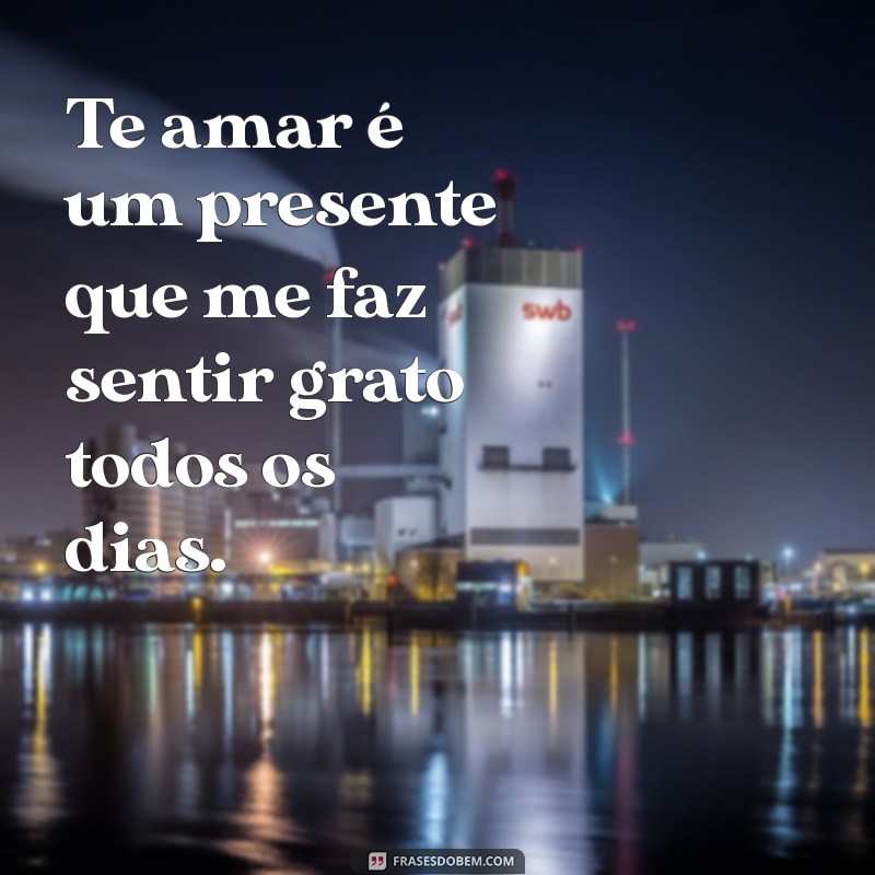 Frases Românticas para Encantar Seu Amor Especial 