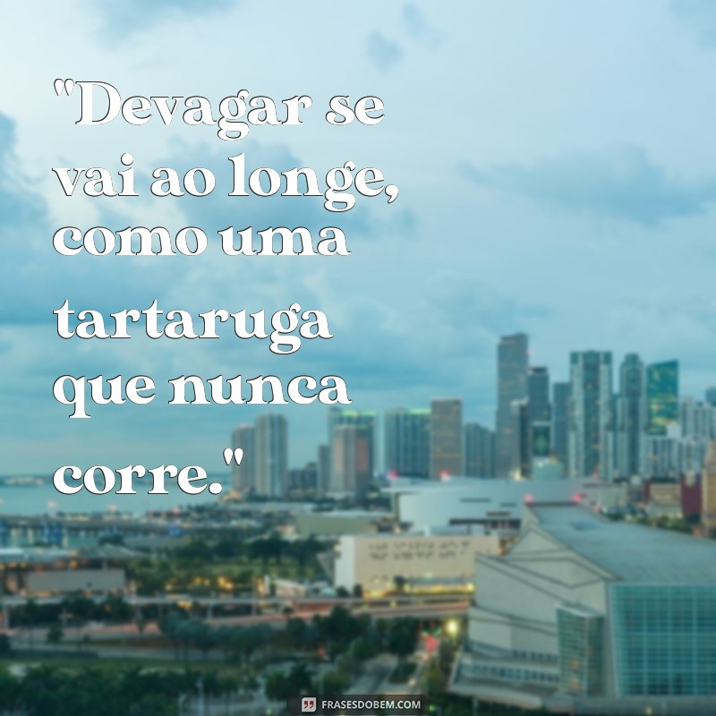 uma frases de tartaruga 