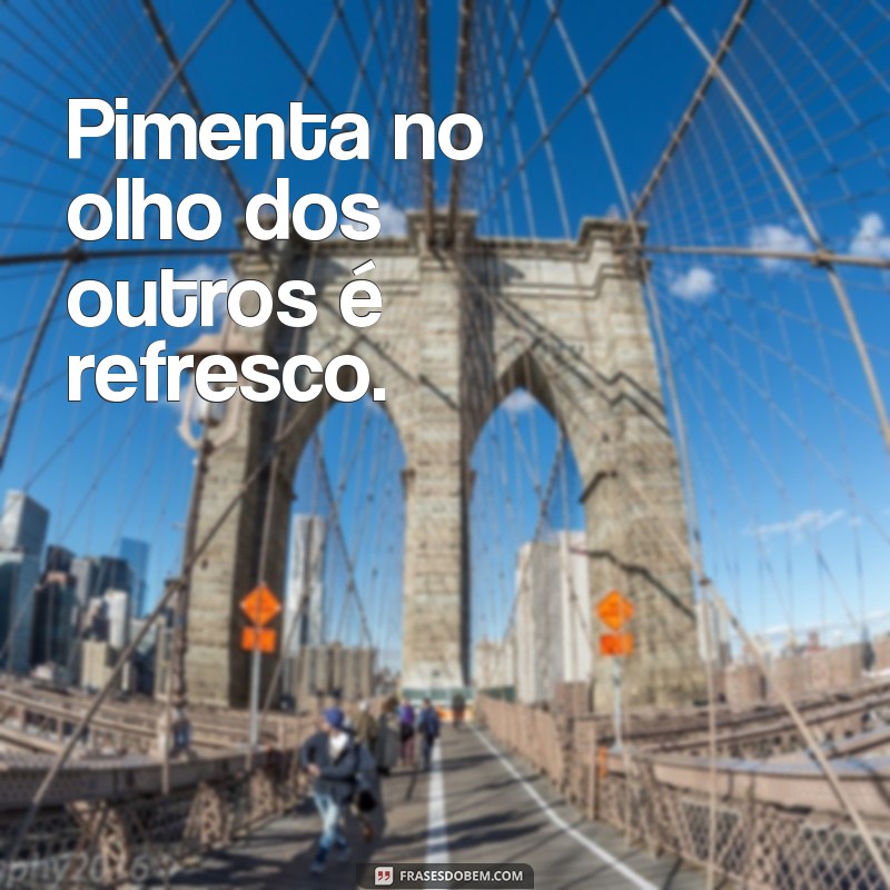 Descubra as melhores frases de ditados populares para se inspirar e refletir 