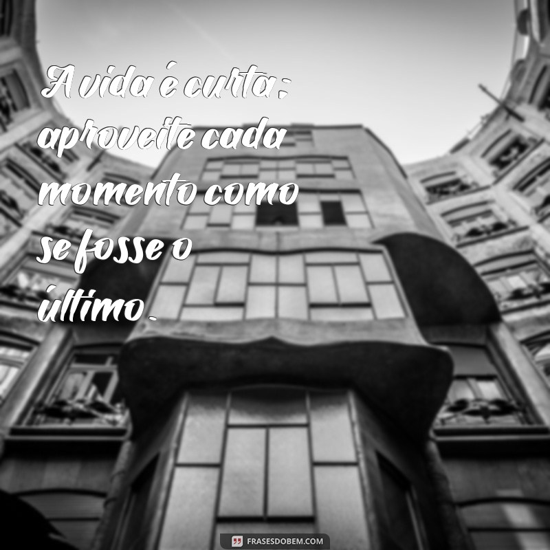 frases a vida é curta A vida é curta; aproveite cada momento como se fosse o último.