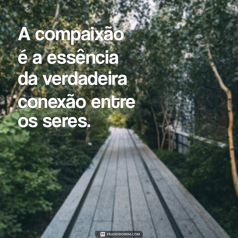 Frases Inspiradoras de Emmanuel: Reflexões para a Alma 