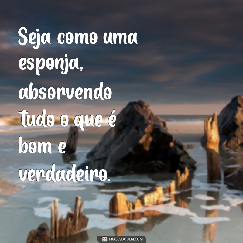 Frases Motivacionais para Inspirar Crianças na Educação Infantil 