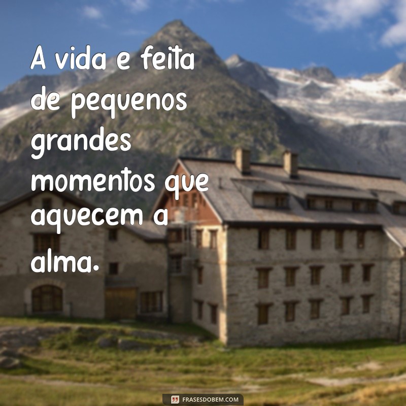 Frases Inspiradoras para Celebrar os Bons Momentos da Vida 