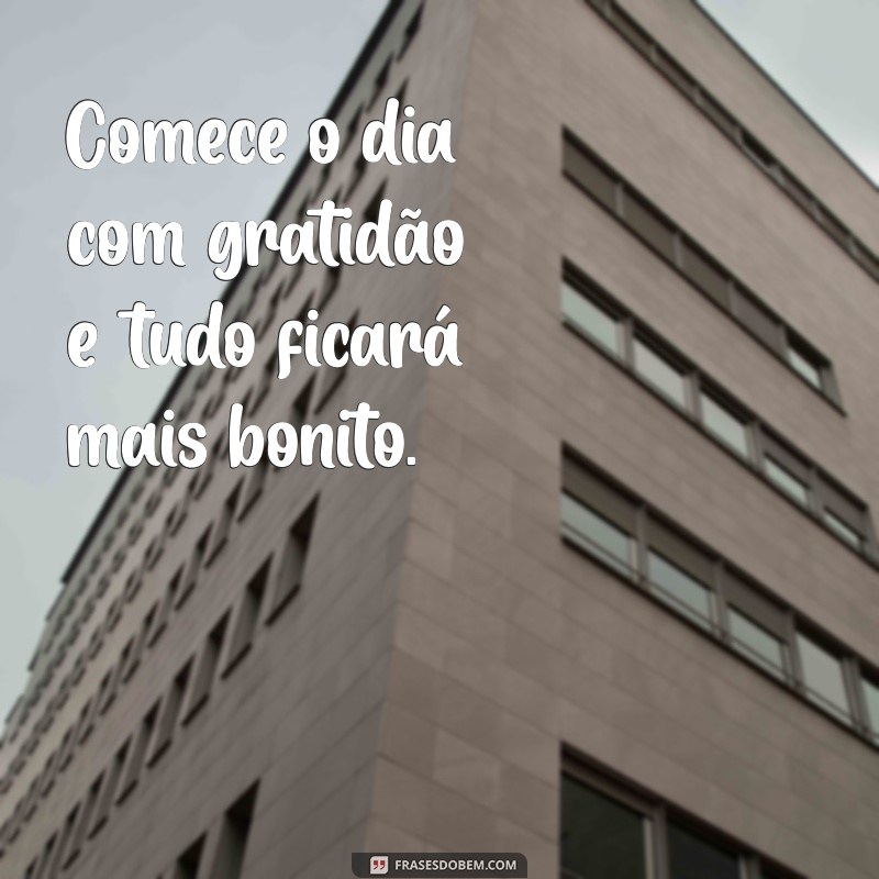 Frases Inspiradoras para Acompanhar suas Fotos de Bom Dia 