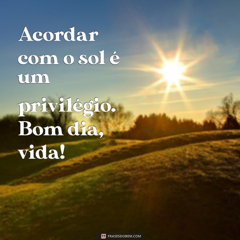 Bom Dia Sol, Bom Dia Vida: Frases Inspiradoras para Começar o Dia com Positividade 