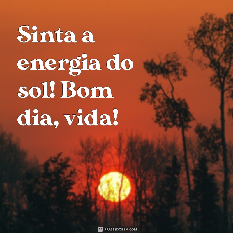 Bom Dia Sol, Bom Dia Vida: Frases Inspiradoras para Começar o Dia com Positividade 