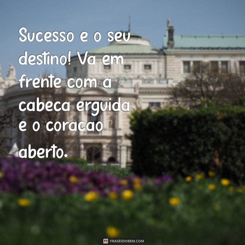 Como Alcançar o Sucesso na Nova Etapa da Sua Vida: Dicas e Inspirações 