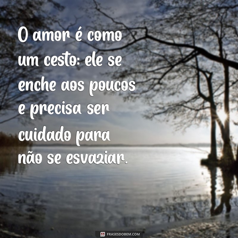 cesto sentido O amor é como um cesto: ele se enche aos poucos e precisa ser cuidado para não se esvaziar.