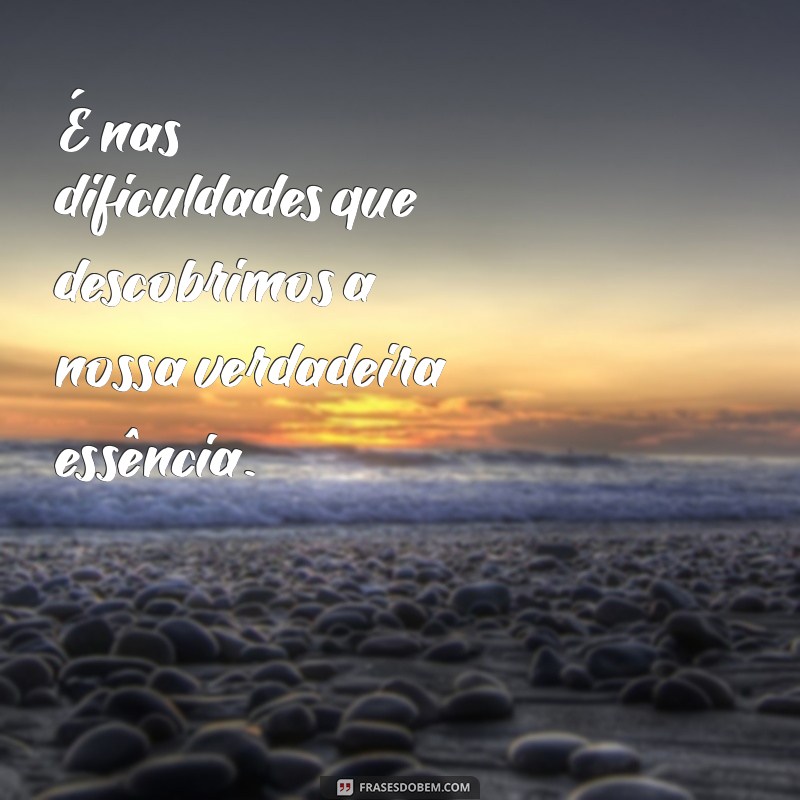 Frases Bonitas e Motivacionais para Inspirar Seu Dia 