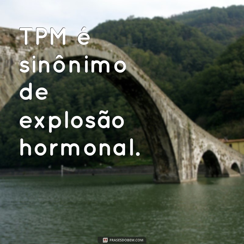 frases tpm frases TPM é sinônimo de explosão hormonal.