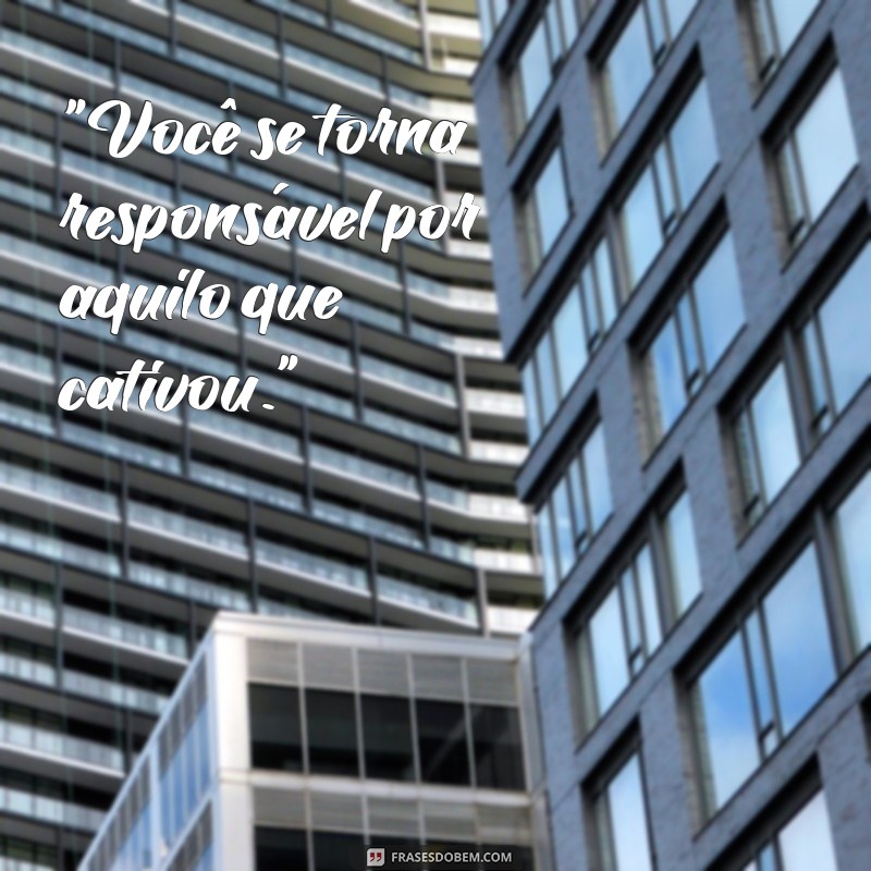 frases famosa do pequeno príncipe 