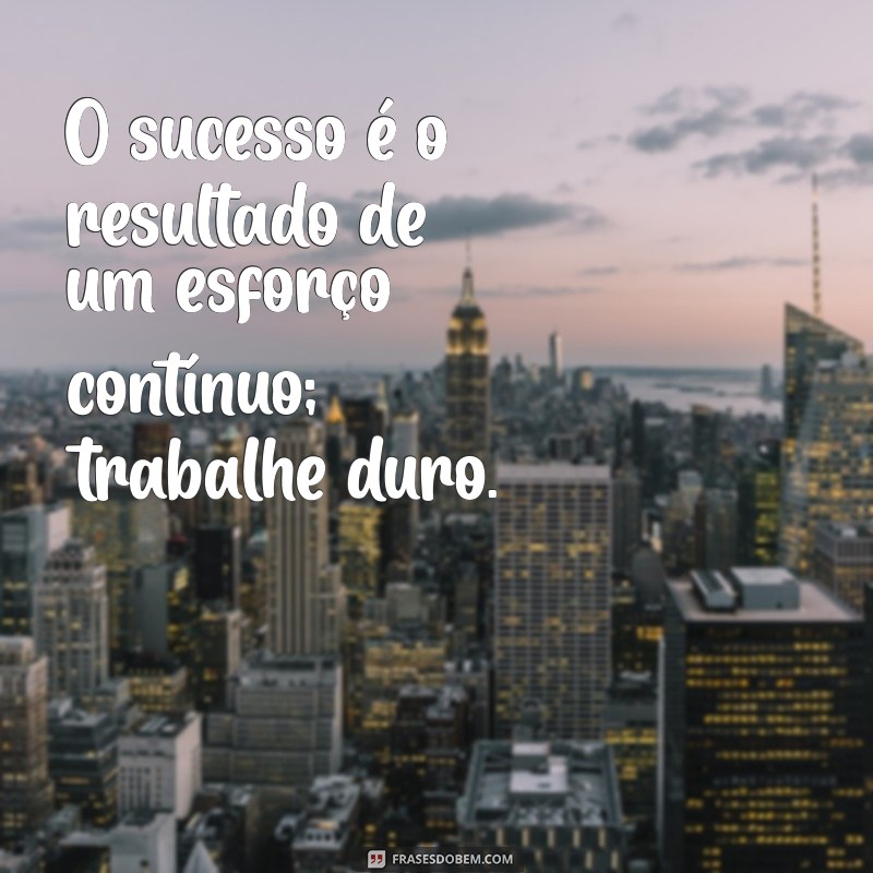 trabalhe duro O sucesso é o resultado de um esforço contínuo; trabalhe duro.