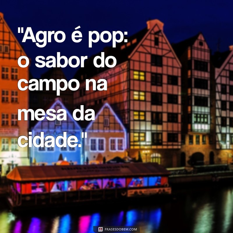 agro é pop frases 