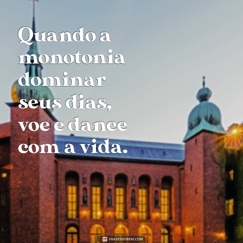 Quando Sentir que o Lugar Não é Mais Seu: Aprenda a Voar e Buscar Novos Horizontes 