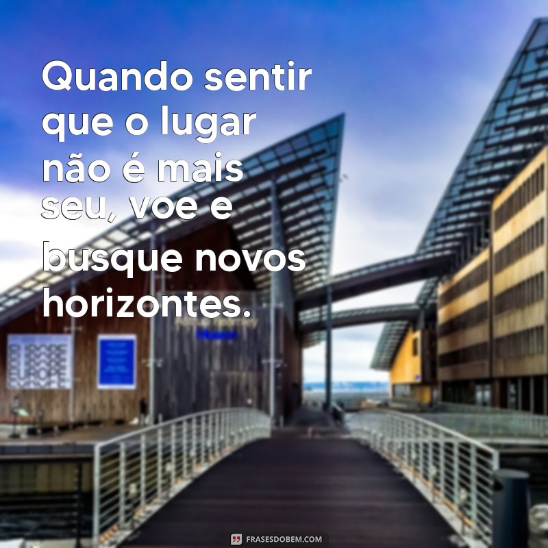 quando sentir que o lugar não é mais seu voe Quando sentir que o lugar não é mais seu, voe e busque novos horizontes.