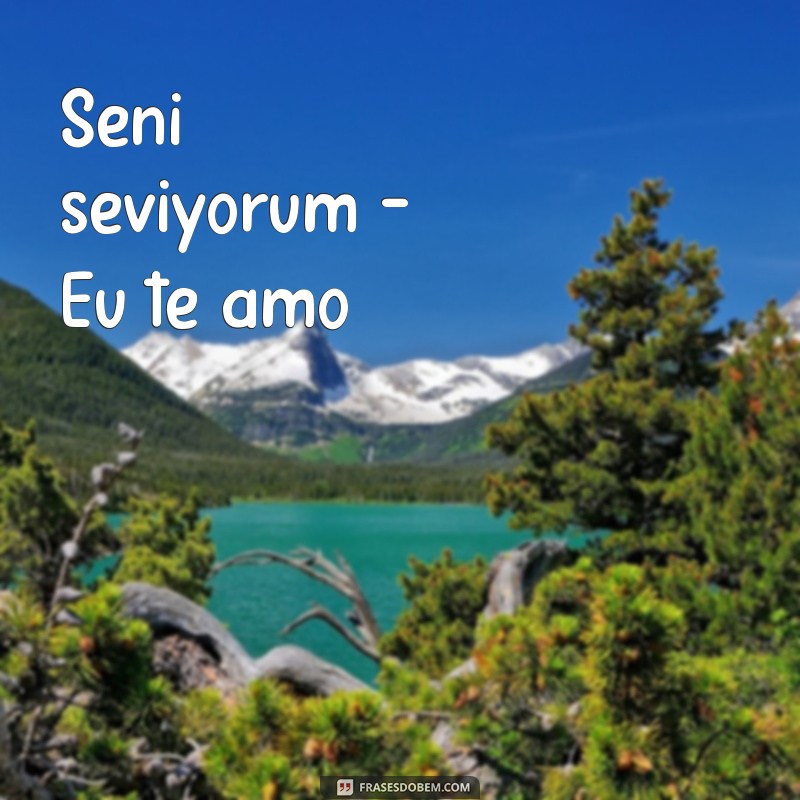 frases de amor en turco Seni seviyorum - Eu te amo