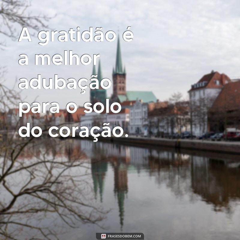 Frases Motivacionais para Inspirar o Setor Agro: Cultive Sua Motivação! 