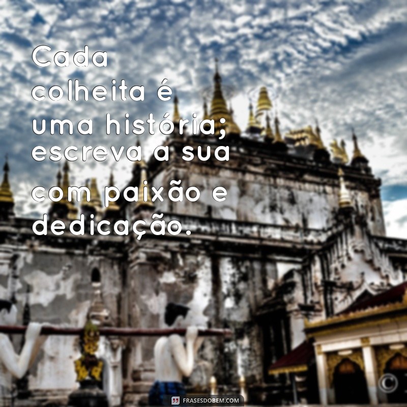 Frases Motivacionais para Inspirar o Setor Agro: Cultive Sua Motivação! 