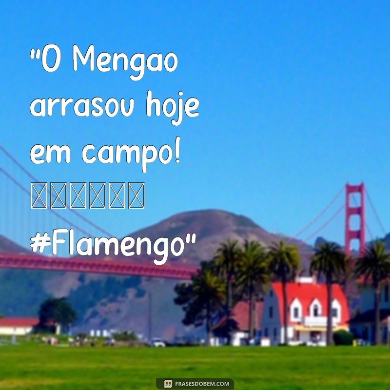 frases fotos do flamengo hoje 