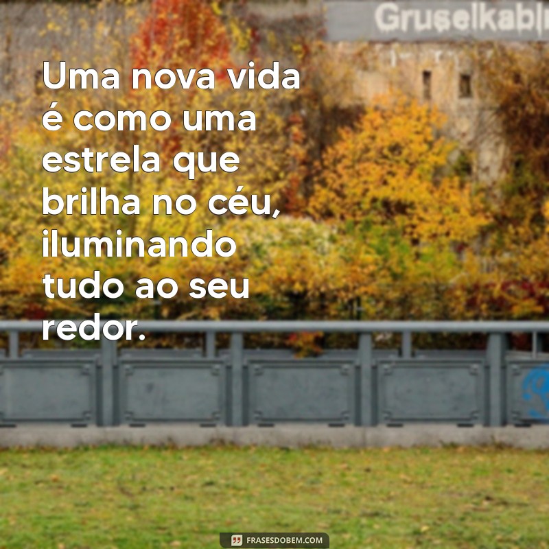 Frases Inspiradoras para Transformar sua Vida e Criar Novas Oportunidades 