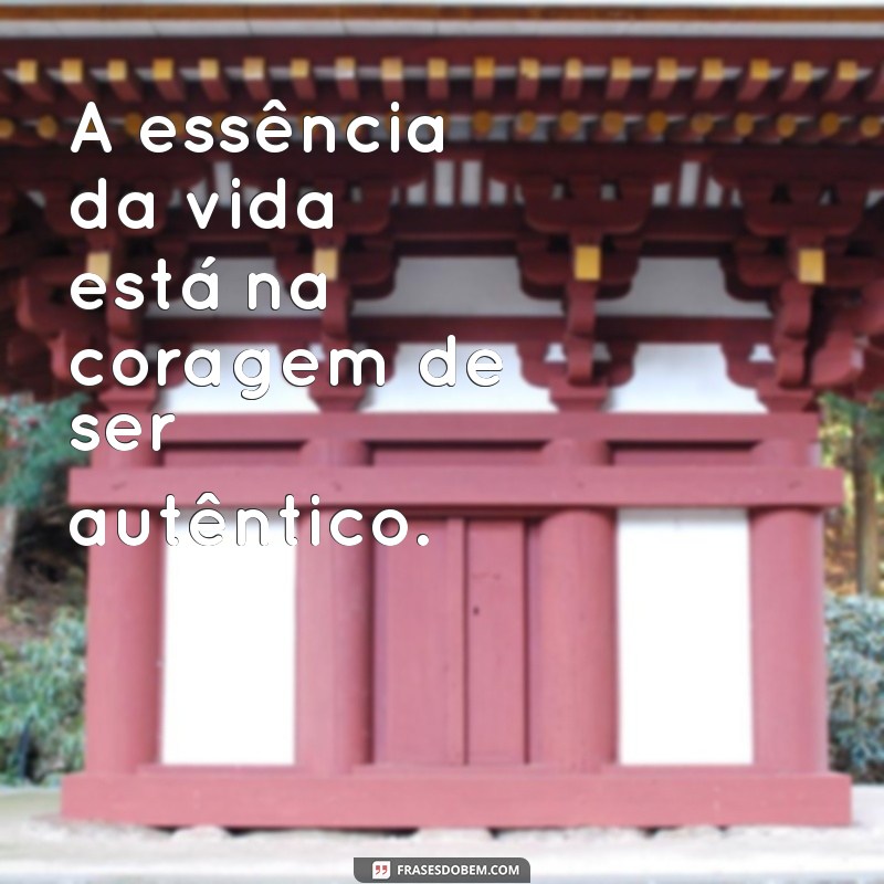 As Melhores Frases de Trancista para Inspirar sua Jornada 