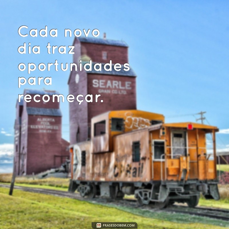 Descubra Frases Inspiradoras com Traz para Transformar Seu Dia 