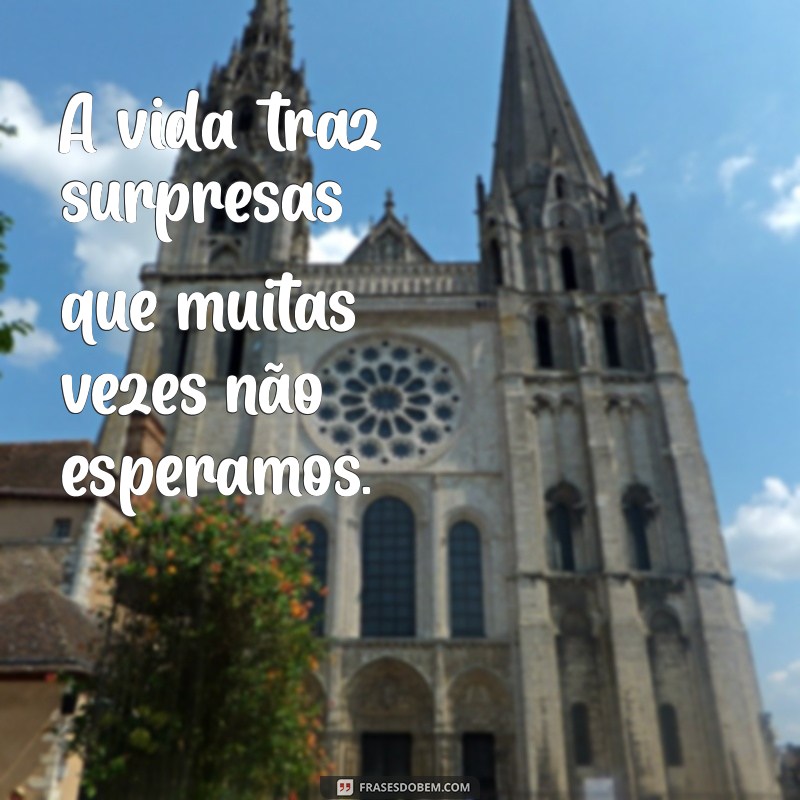 uma frases com traz A vida traz surpresas que muitas vezes não esperamos.