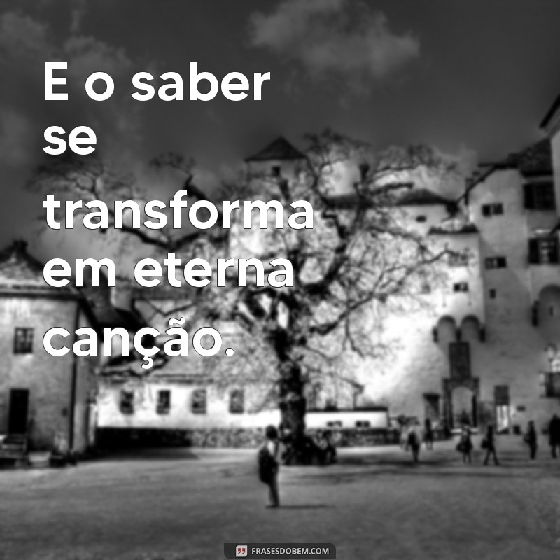 Descubra Inspirações: Poesias e Poemas Encantadores sobre a Escola 