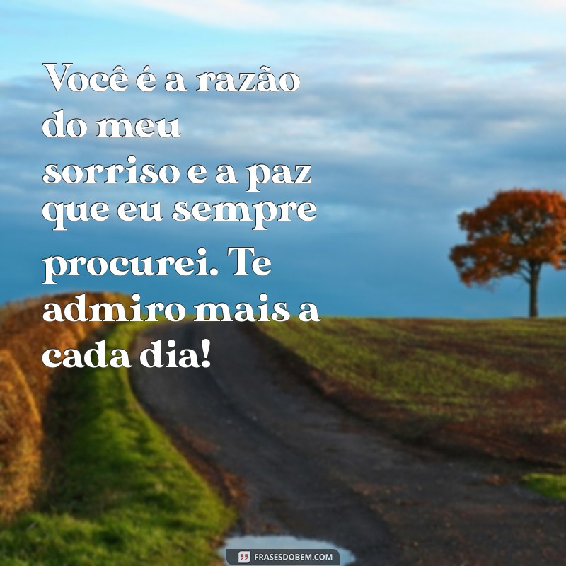 texto elogiando o namorado Você é a razão do meu sorriso e a paz que eu sempre procurei. Te admiro mais a cada dia!