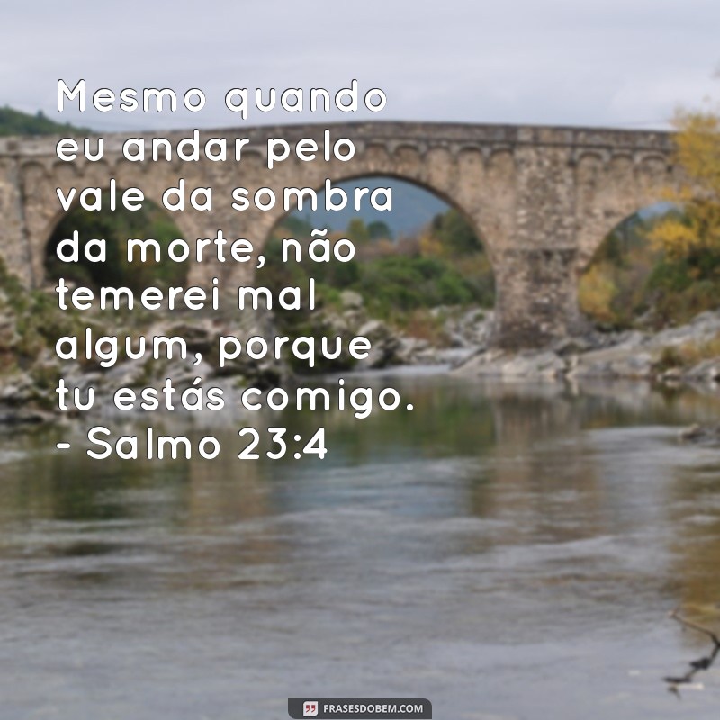 Versículos Bíblicos de Reflexão: Inspiração e Sabedoria para o Seu Dia 