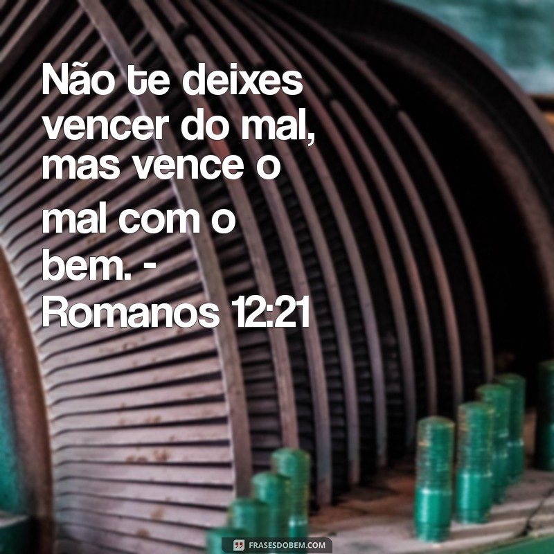 As Melhores Frases Bíblicas para Compartilhar no WhatsApp 