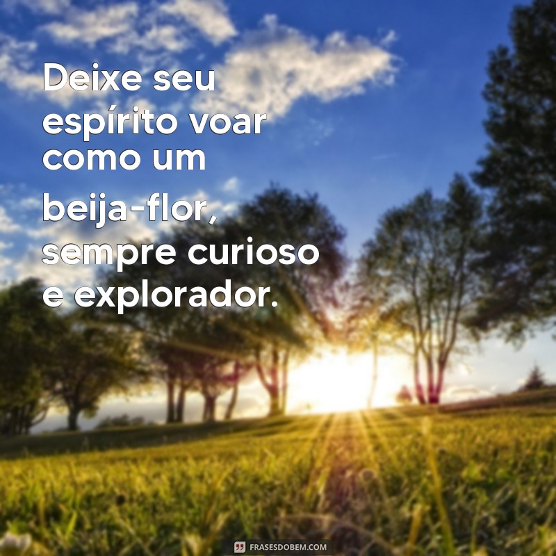 Frases Inspiradoras sobre Beija-Flores: Encanto e Beleza da Natureza 