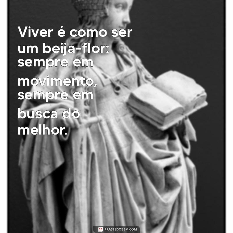 Frases Inspiradoras sobre Beija-Flores: Encanto e Beleza da Natureza 