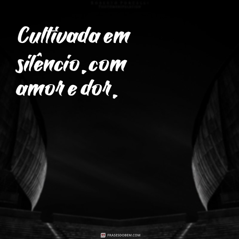 Poemas da Vida: Reflexões e Inspirações para Cada Momento 