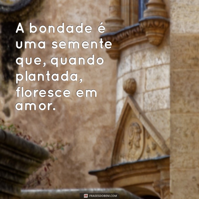 As Melhores Frases Gentis para Espalhar Bondade e Positividade 