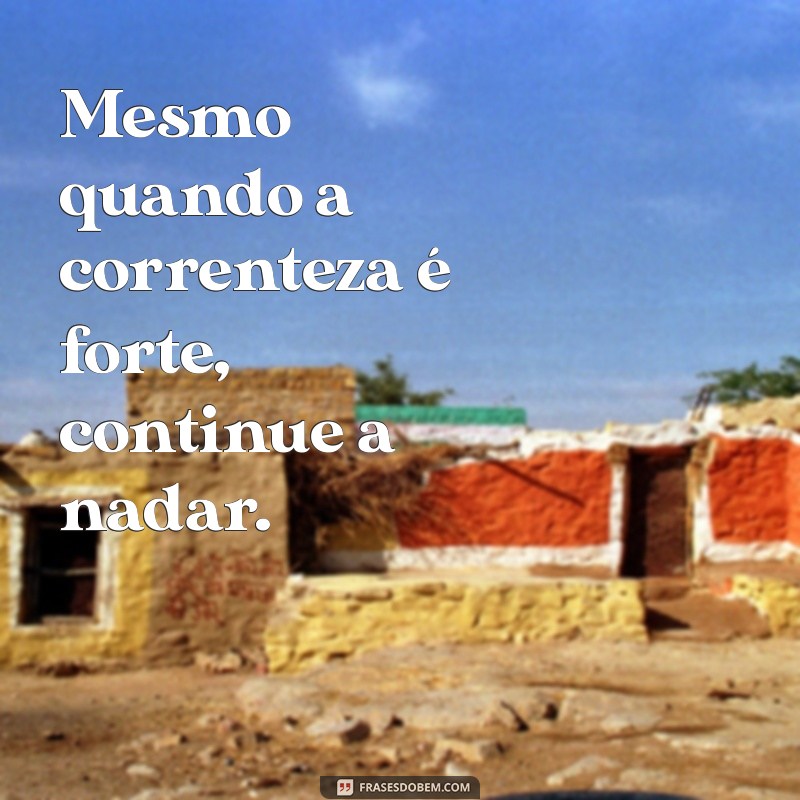 frases continue a nadar Mesmo quando a correnteza é forte, continue a nadar.