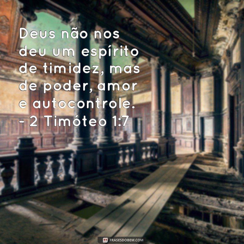 Descubra a Sabedoria e Inspiração nas Melhores Frases de Livros Cristãos 