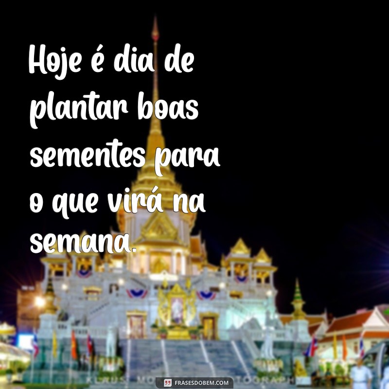 Frases Inspiradoras para Aumentar sua Motivação na Quarta-Feira 