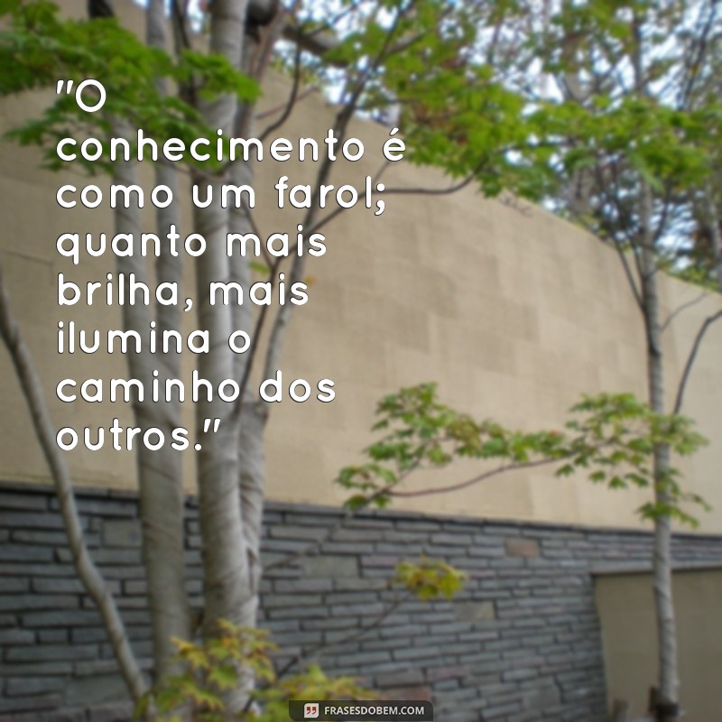 frases de compartilhar conhecimento 