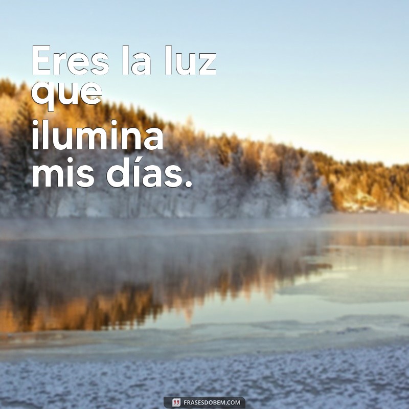 frases de carinho em espanhol Eres la luz que ilumina mis días.