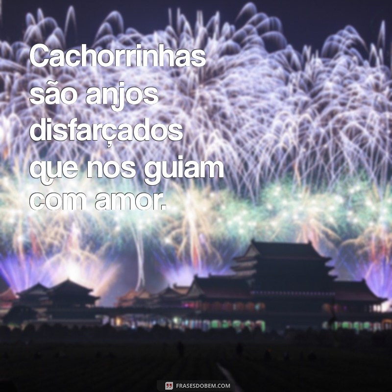 Guia Completo sobre Cachorros Fêmeas: Cuidados, Comportamento e Saúde 