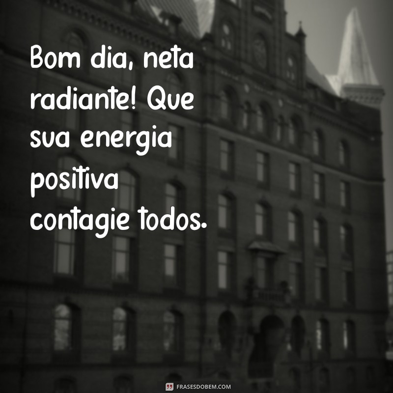 Bom Dia, Neta Querida: Mensagens Carinhosas para Começar o Dia com Amor 