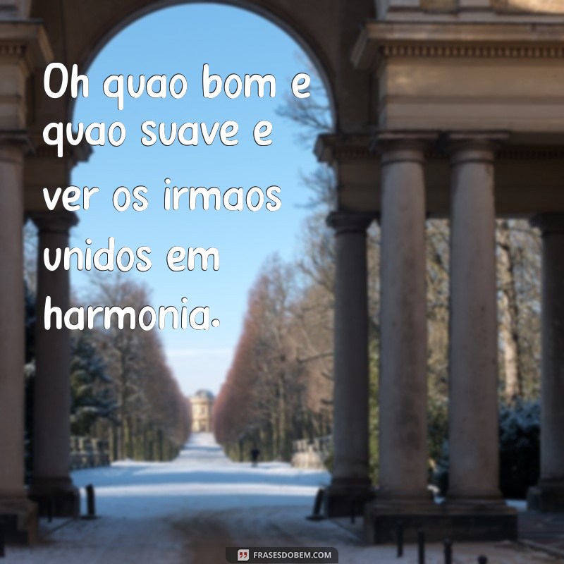 oh quão bom e quão suave é que os irmãos vivam em união Oh quão bom e quão suave é ver os irmãos unidos em harmonia.