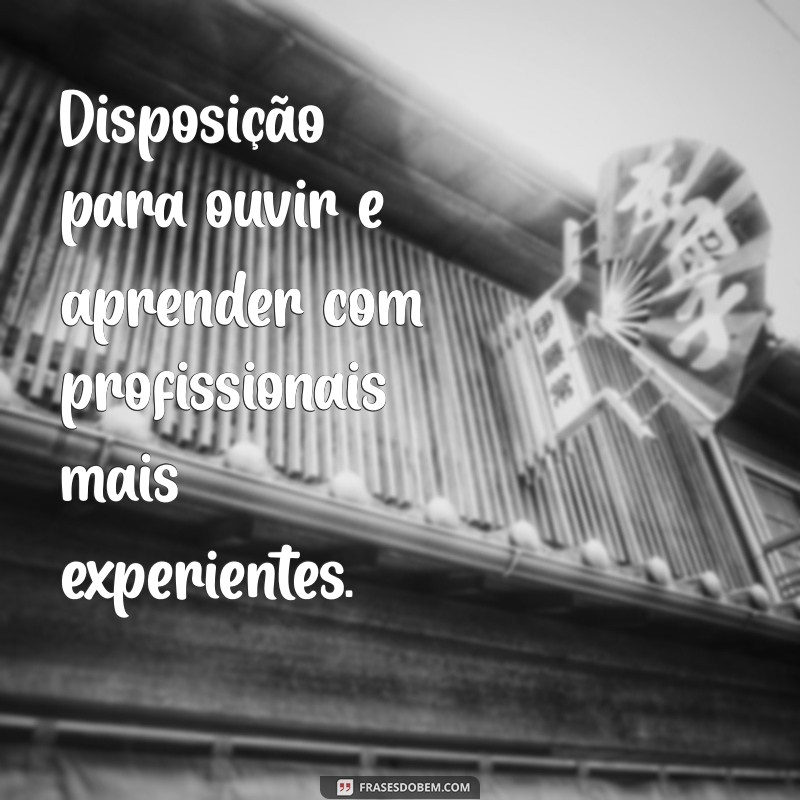 Frases Impactantes para Destacar seu Currículo no Primeiro Emprego 