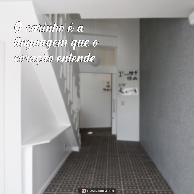 frases com carinho O carinho é a linguagem que o coração entende.