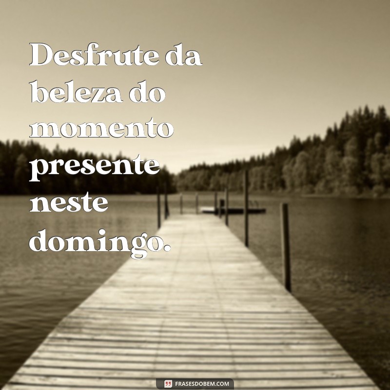 As Melhores Frases para Status de Domingo: Inspire Seu Dia com Mensagens Positivas 