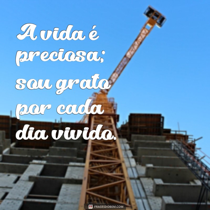 Frases Inspiradoras de Agradecimento: Obrigado por Mais um Dia 