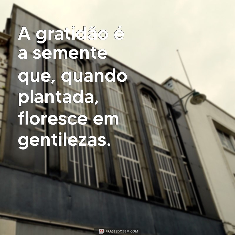 gratidão gera gratidão A gratidão é a semente que, quando plantada, floresce em gentilezas.